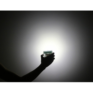 ΦΑΚΟΙ ΑΛΛΑΓΗΣ ΧΡΩΜΑΤΟΣ ΛΥΧΝΙΑΣ WISDOM - Image 5