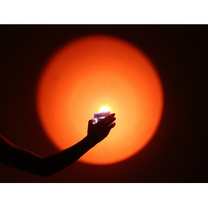 ΦΑΚΟΙ ΑΛΛΑΓΗΣ ΧΡΩΜΑΤΟΣ ΛΥΧΝΙΑΣ WISDOM - Image 9