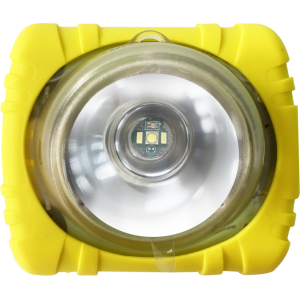 ΠΡΟΣΤΑΤΕΥΤΙΚΗ ΘΗΚΗ ΣΙΛΙΚΟΝΗΣ ΦΑΚΟΥ WISDOM - Image 5